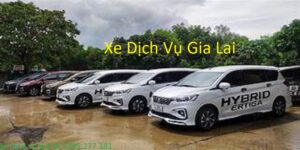 xe dich vụ gia lai